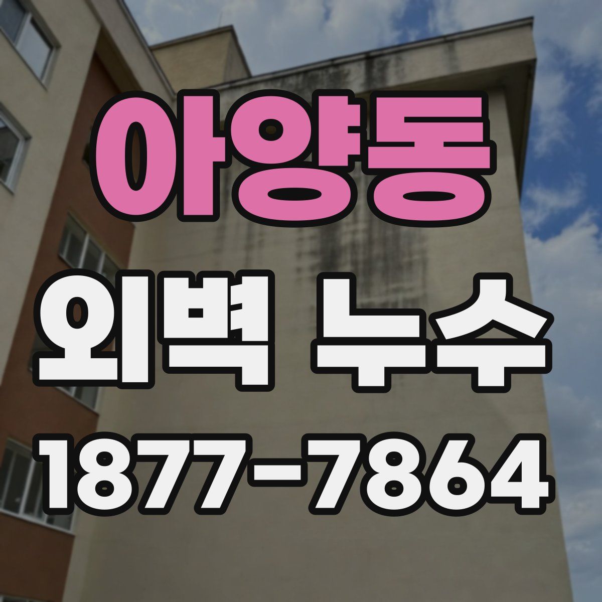 아양동 외벽 누수