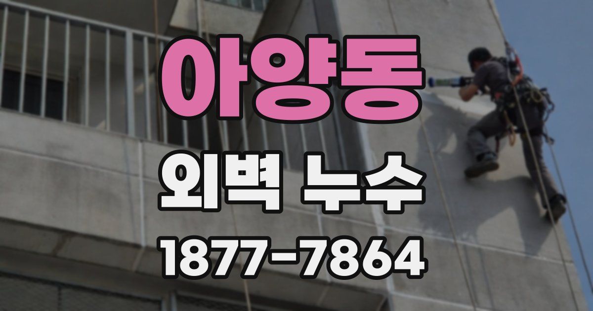 아양동 외벽 누수