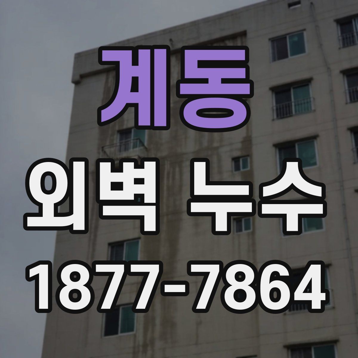 계동 외벽 누수 현장 점검에서 보는 부분