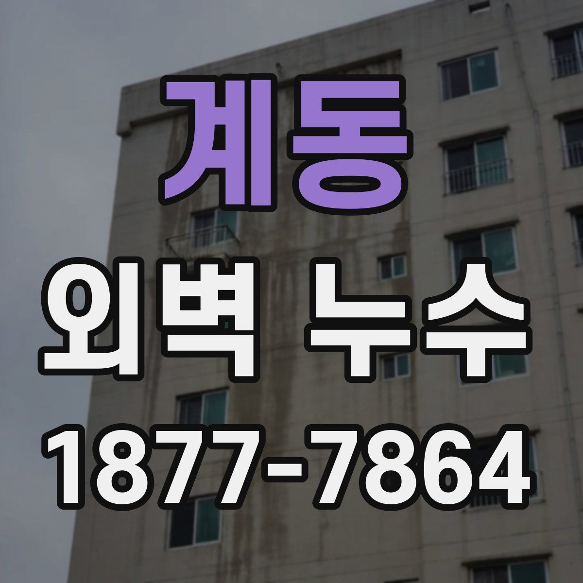 계동 외벽 누수