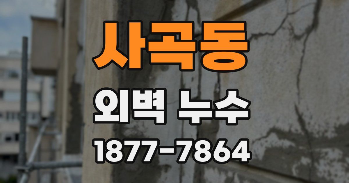 사곡동 외벽 누수