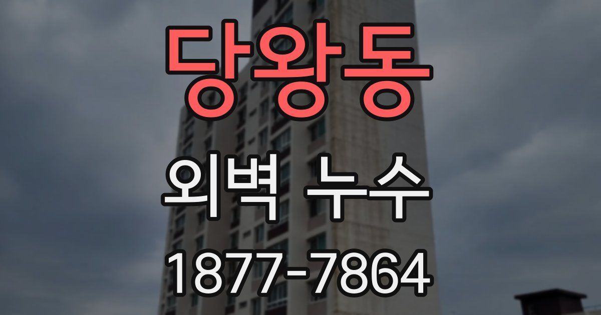 당왕동 외벽 누수