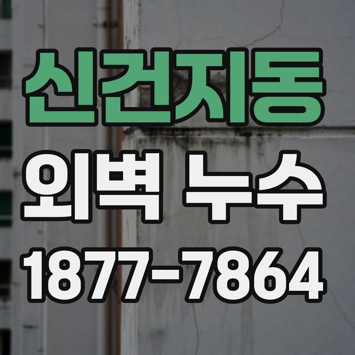 신건지동 외벽 누수 발생 구간별 관리 포인트