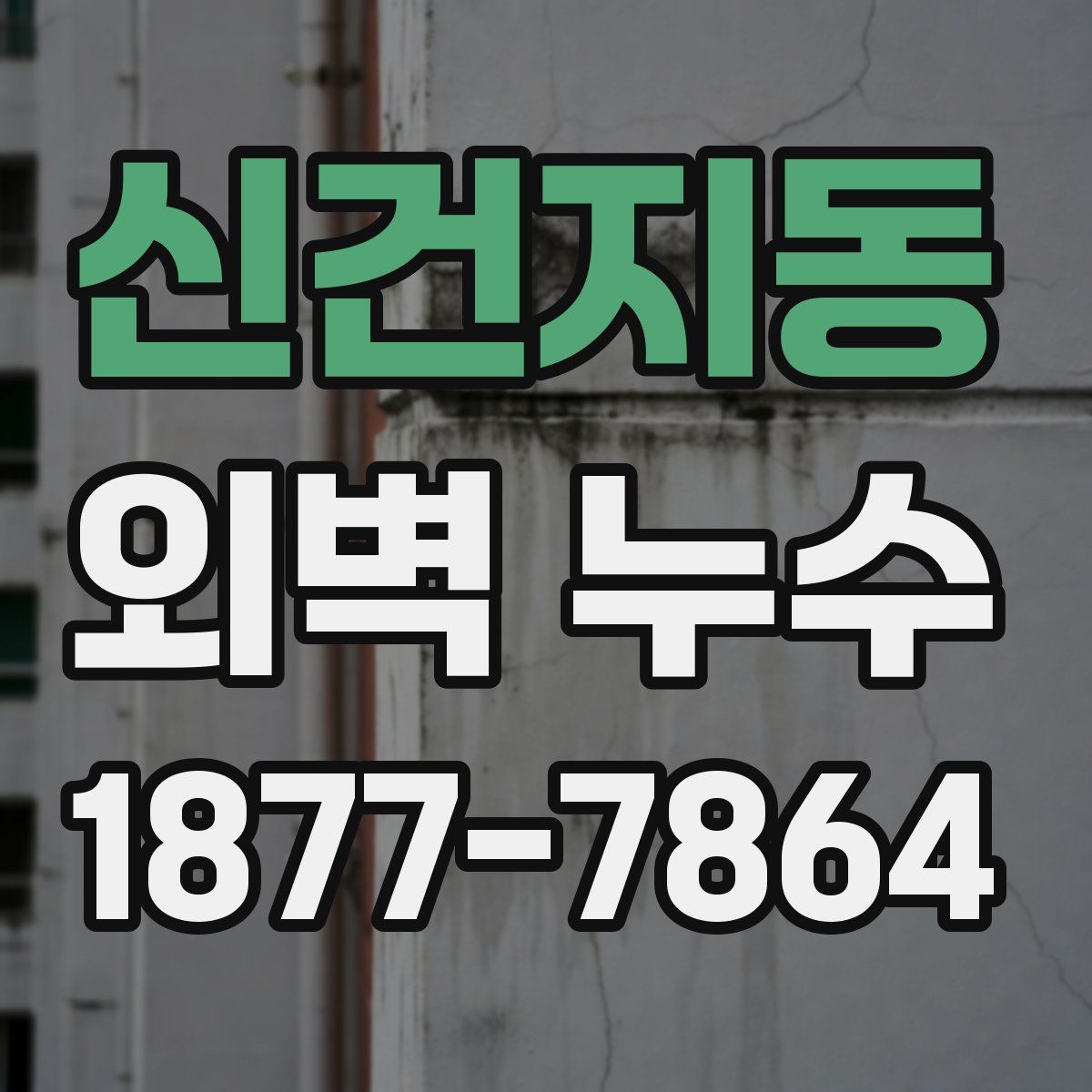 신건지동 외벽 누수