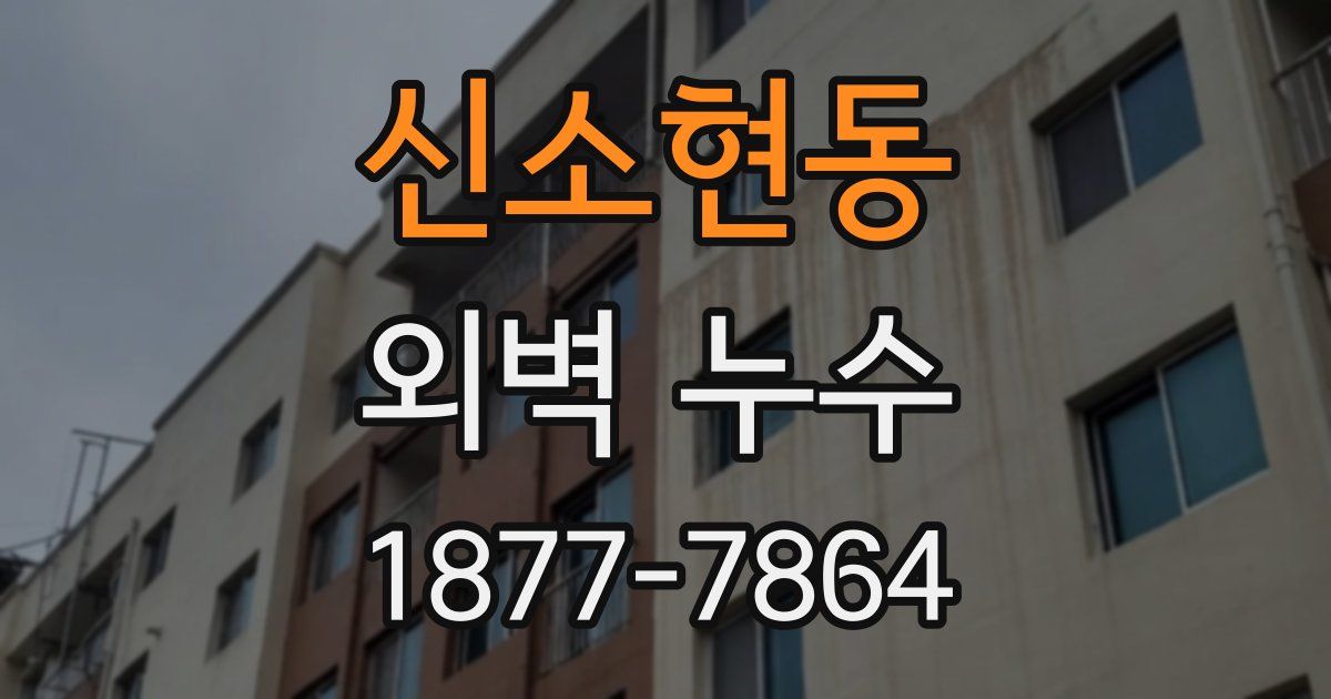 신소현동 외벽 누수