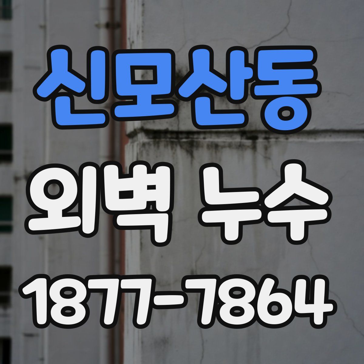 신모산동 외벽 누수