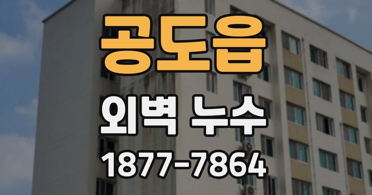 공도읍 외벽 누수