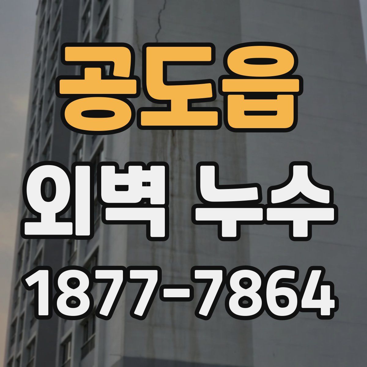 공도읍 외벽 누수