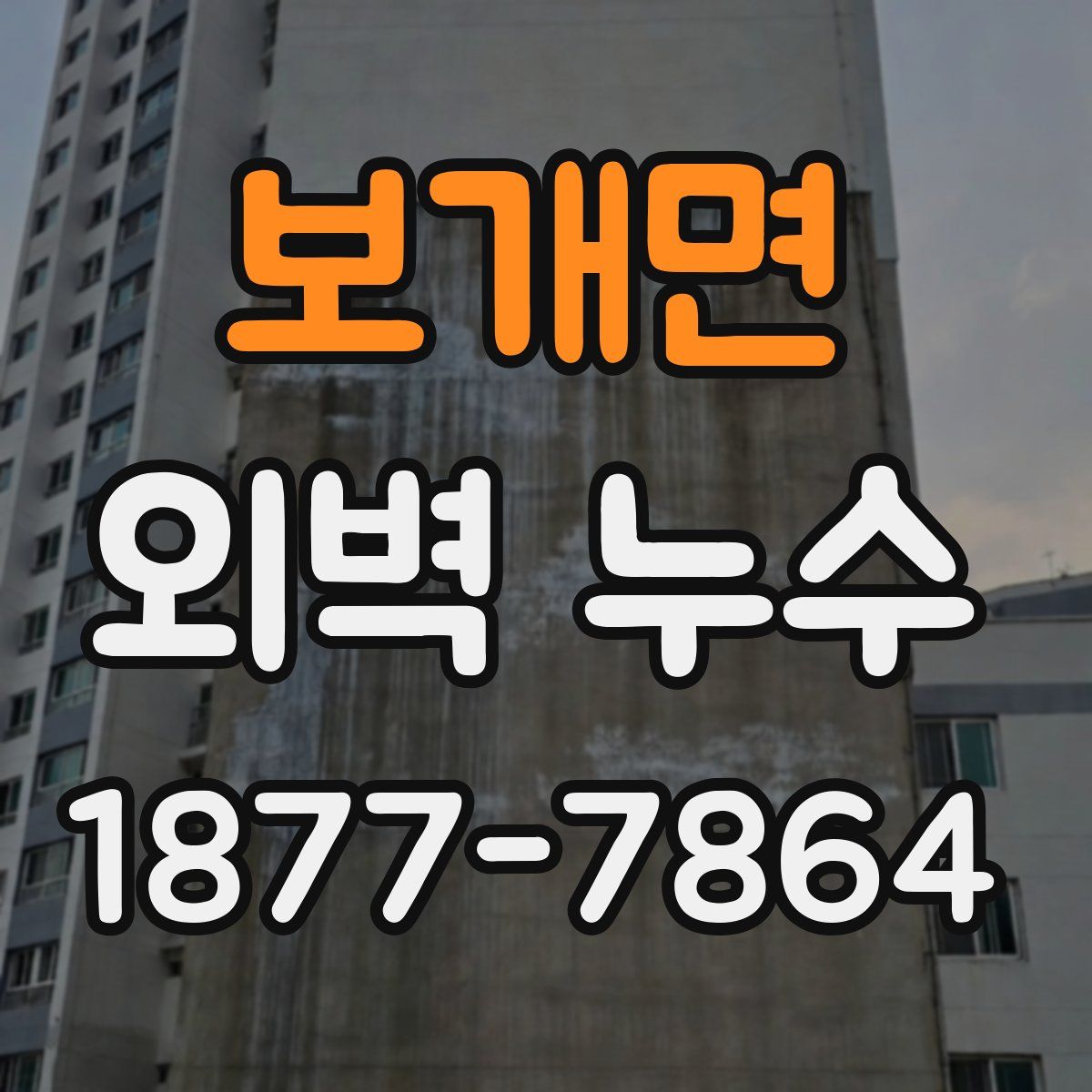 보개면 외벽 누수