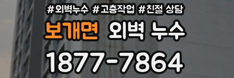 보개면 외벽 누수