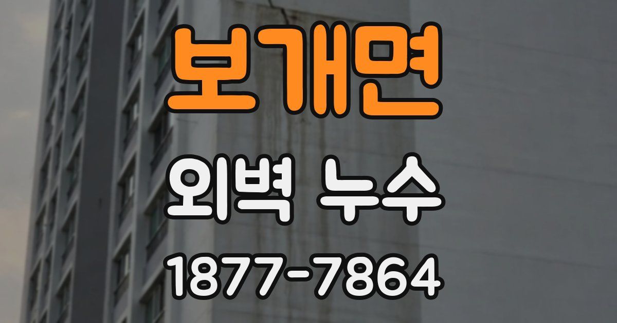 보개면 외벽 누수