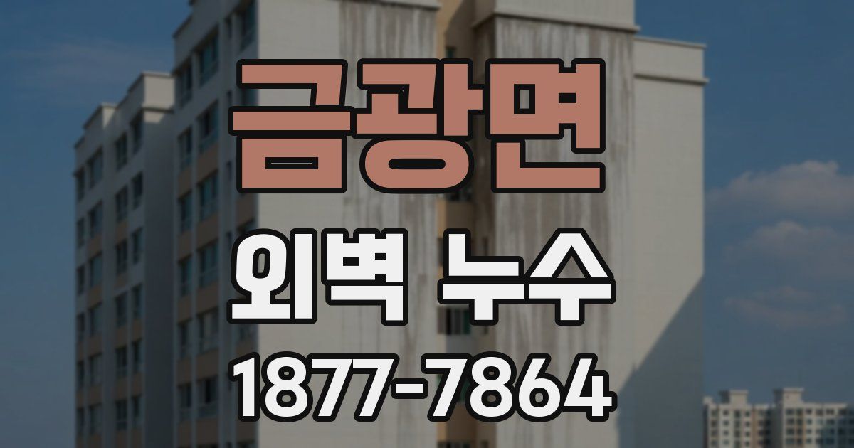 금광면 외벽 누수