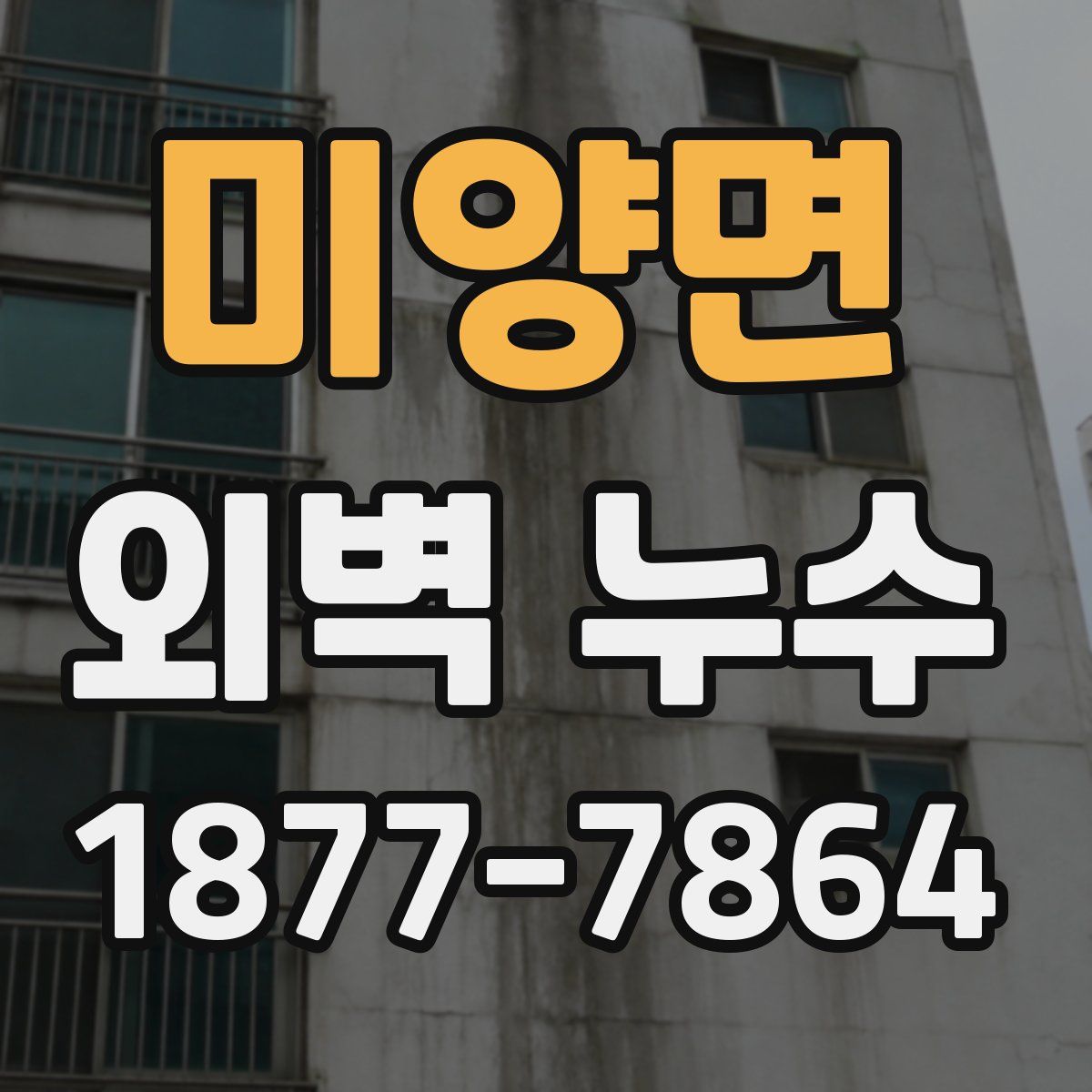 미양면 외벽 누수