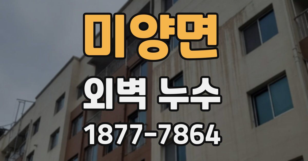 미양면 외벽 누수