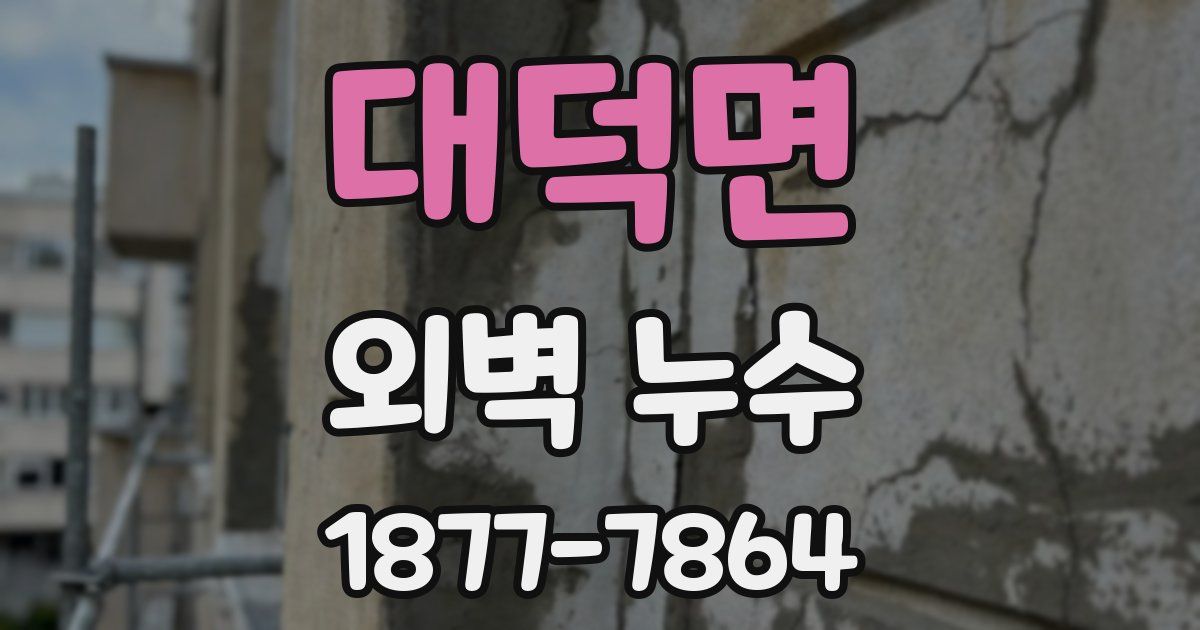 대덕면 외벽 누수