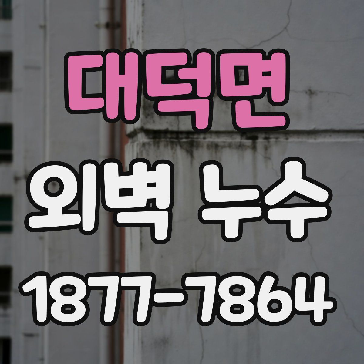 대덕면 외벽 누수