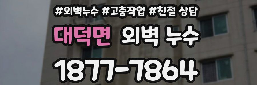 대덕면 외벽 누수