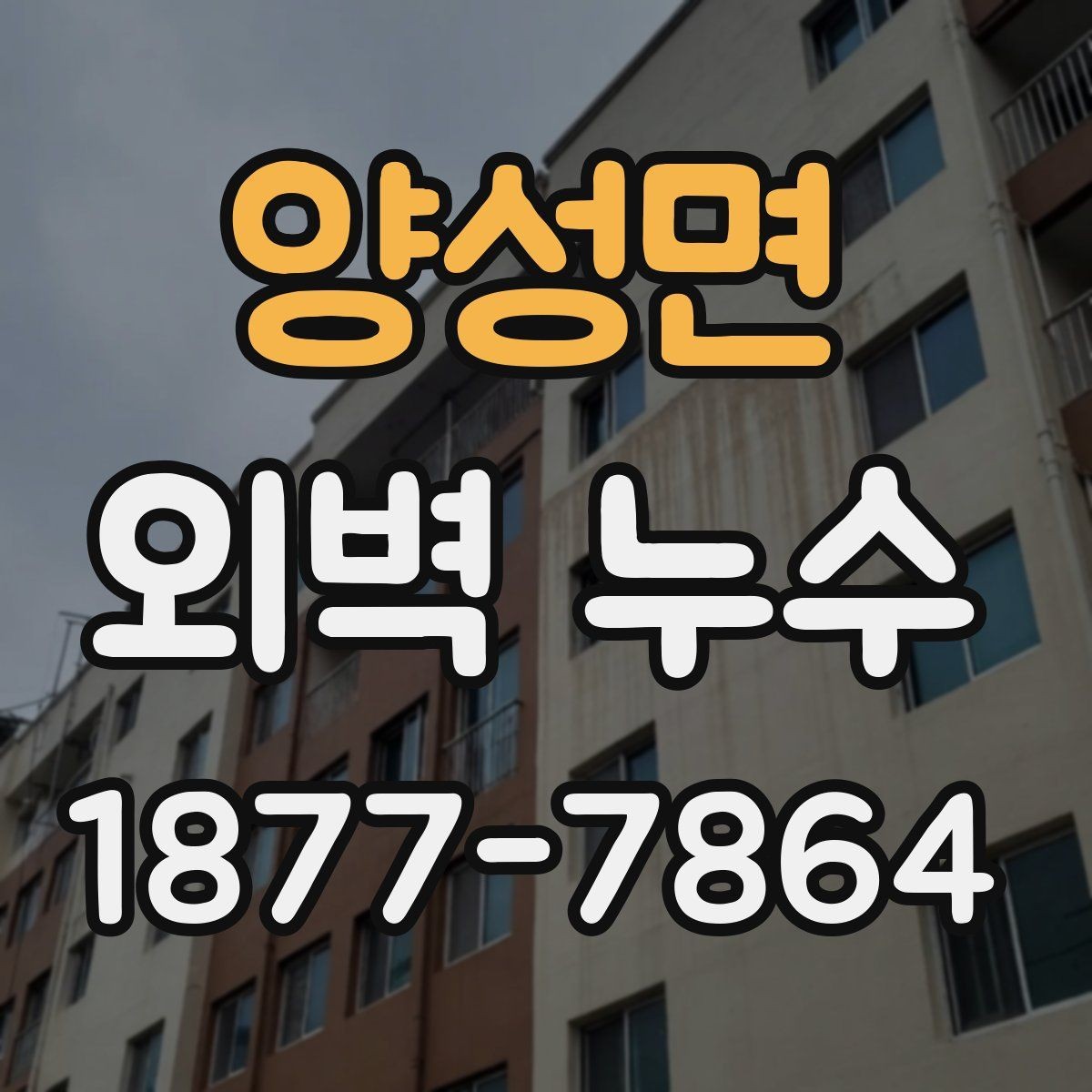 양성면 외벽 누수 점검 시 전문가 선택 기준