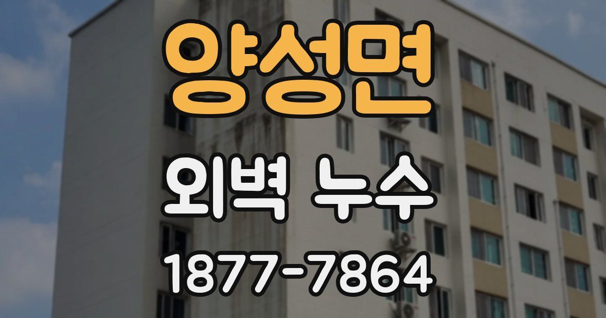 양성면 외벽 누수