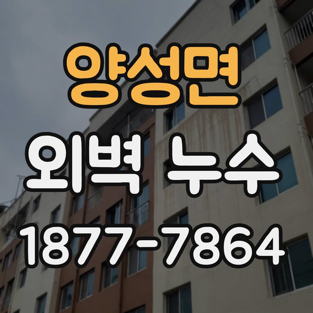 양성면 외벽 누수