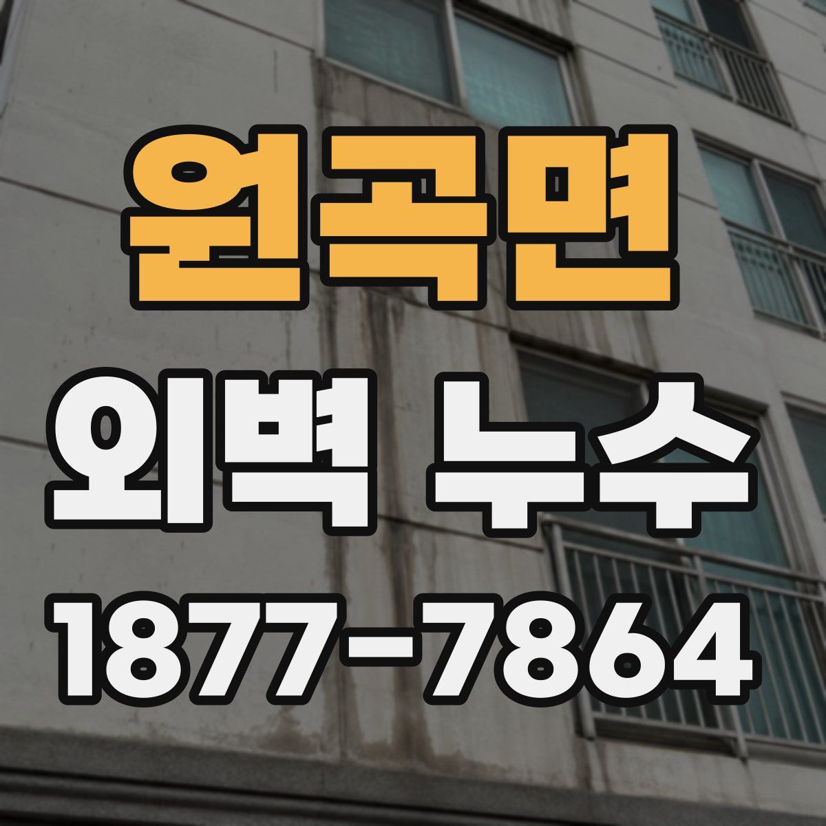 원곡면 외벽 누수