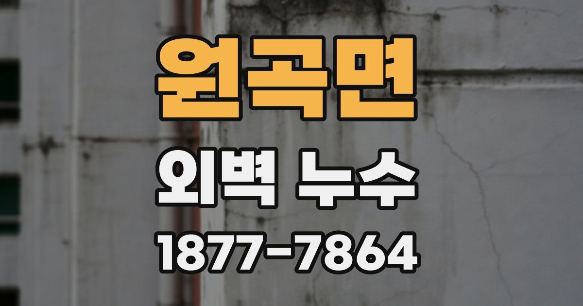 원곡면 외벽 누수