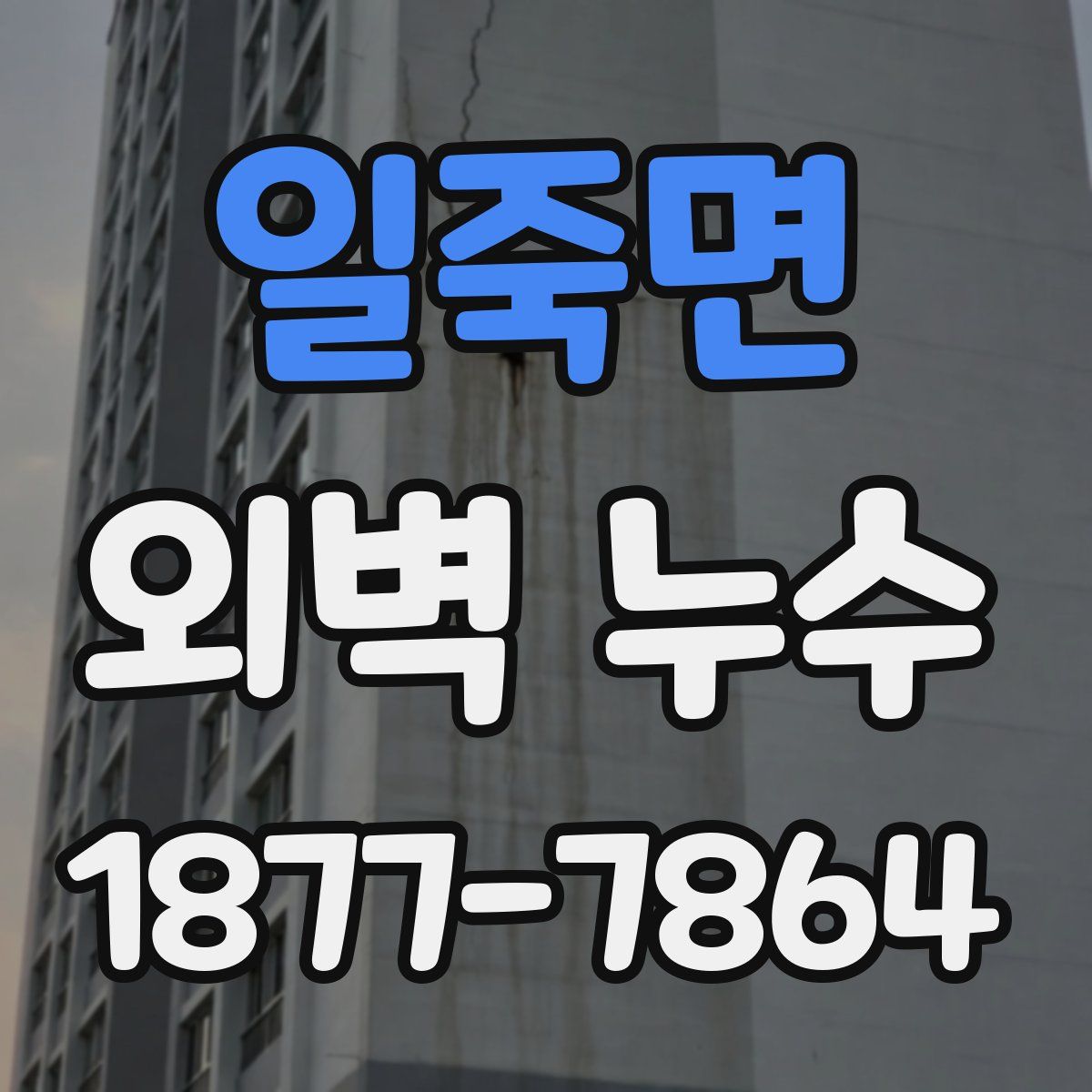 일죽면 외벽 누수