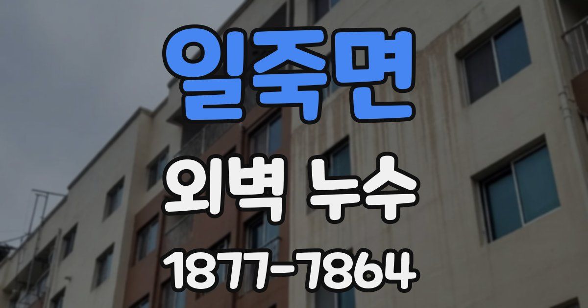일죽면 외벽 누수