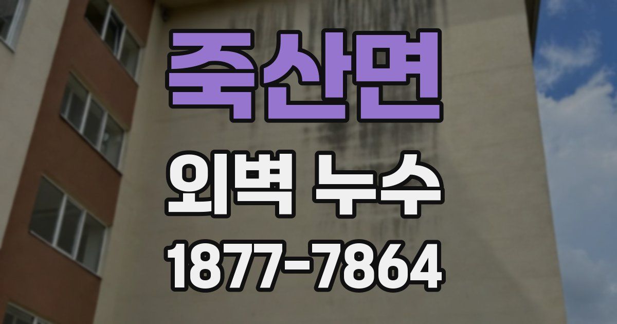 죽산면 외벽 누수