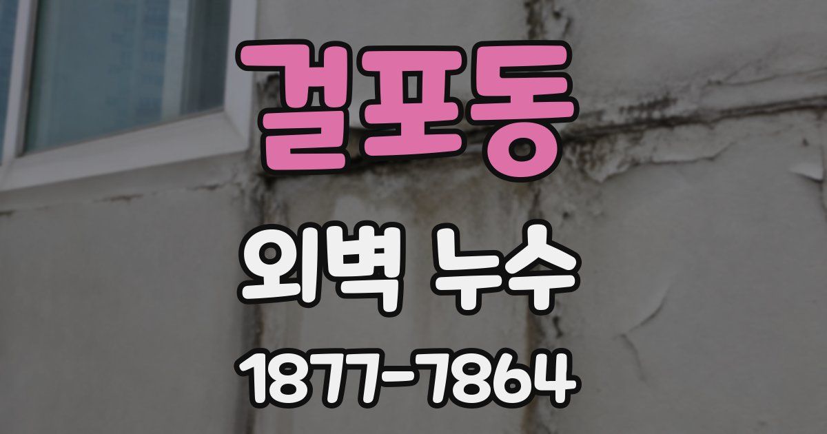 걸포동 외벽 누수