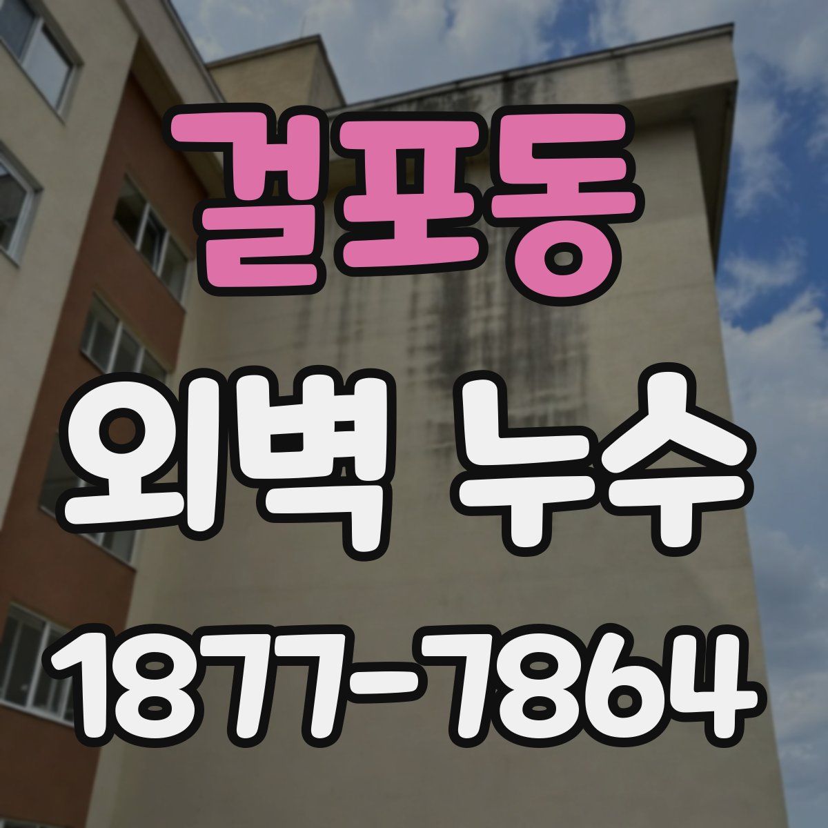 걸포동 외벽 누수