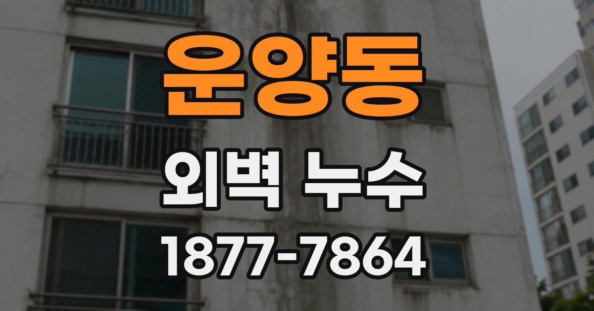 운양동 외벽 누수