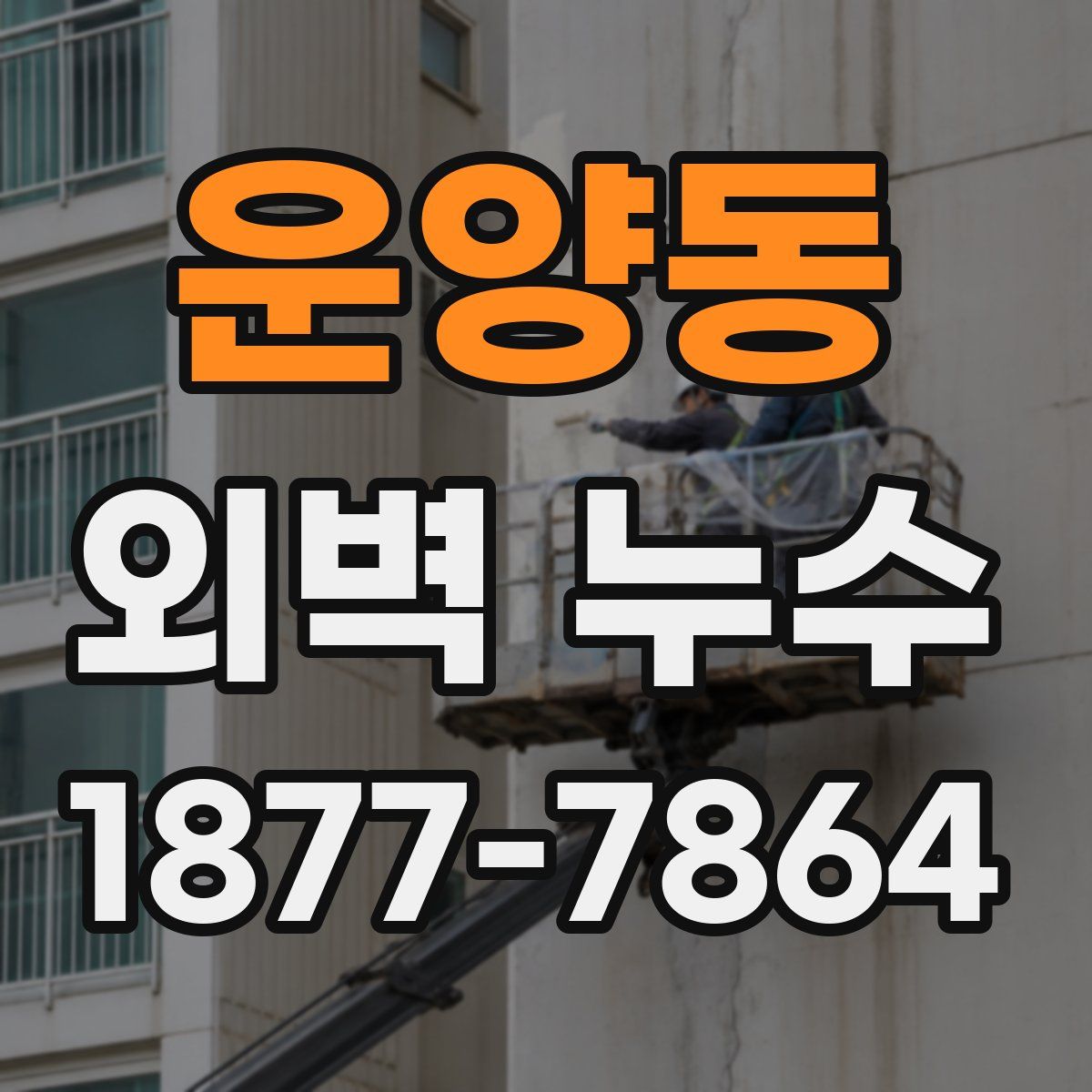 운양동 외벽 누수