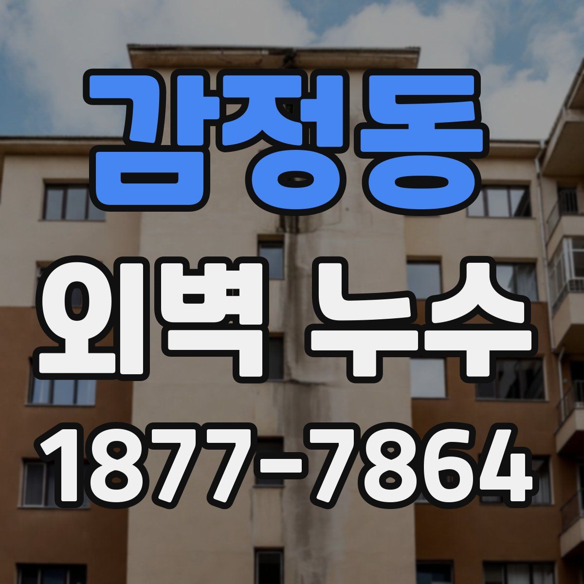 감정동 외벽 누수