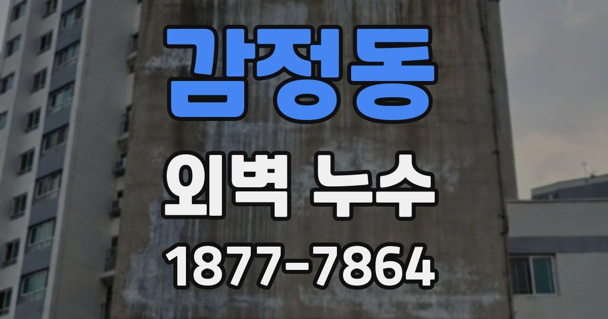감정동 외벽 누수