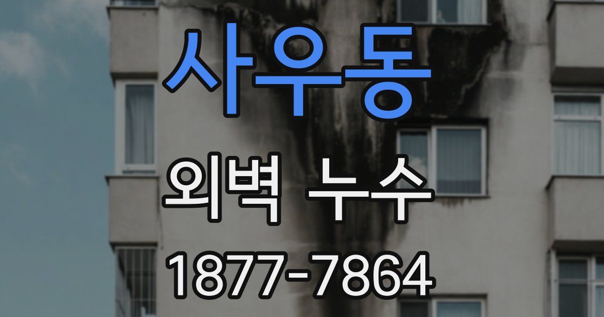 사우동 외벽 누수