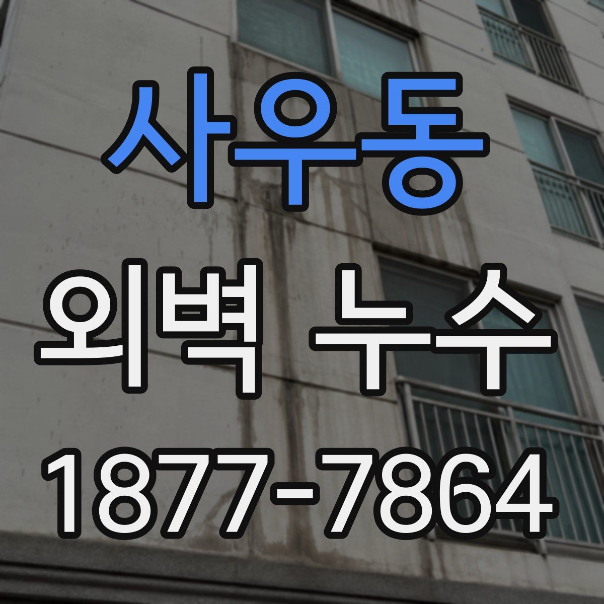 사우동 외벽 누수