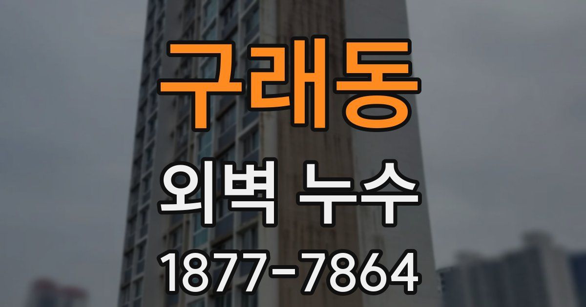 구래동 외벽 누수