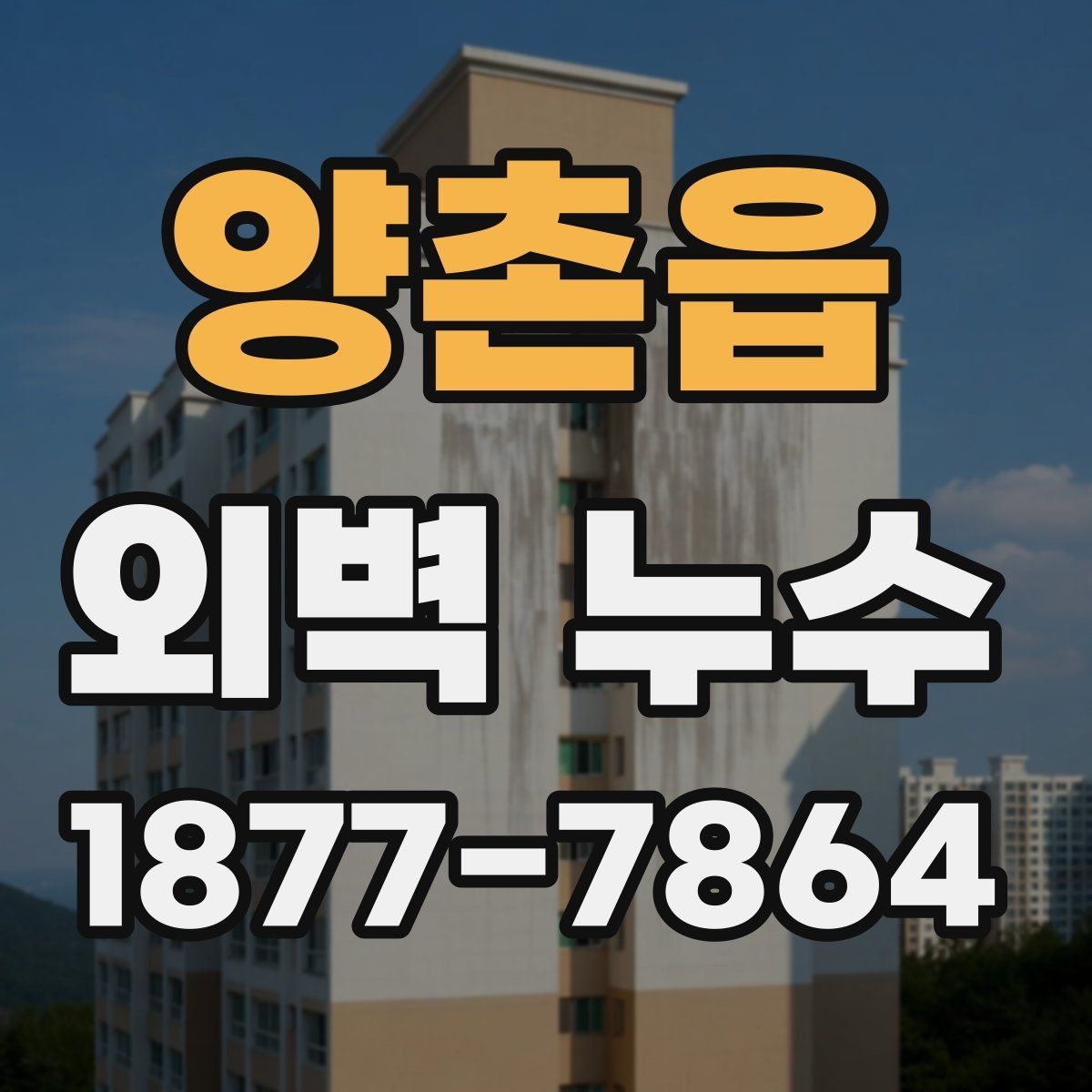 양촌읍 외벽 누수 공사 계획 세울 때 체크할 부분