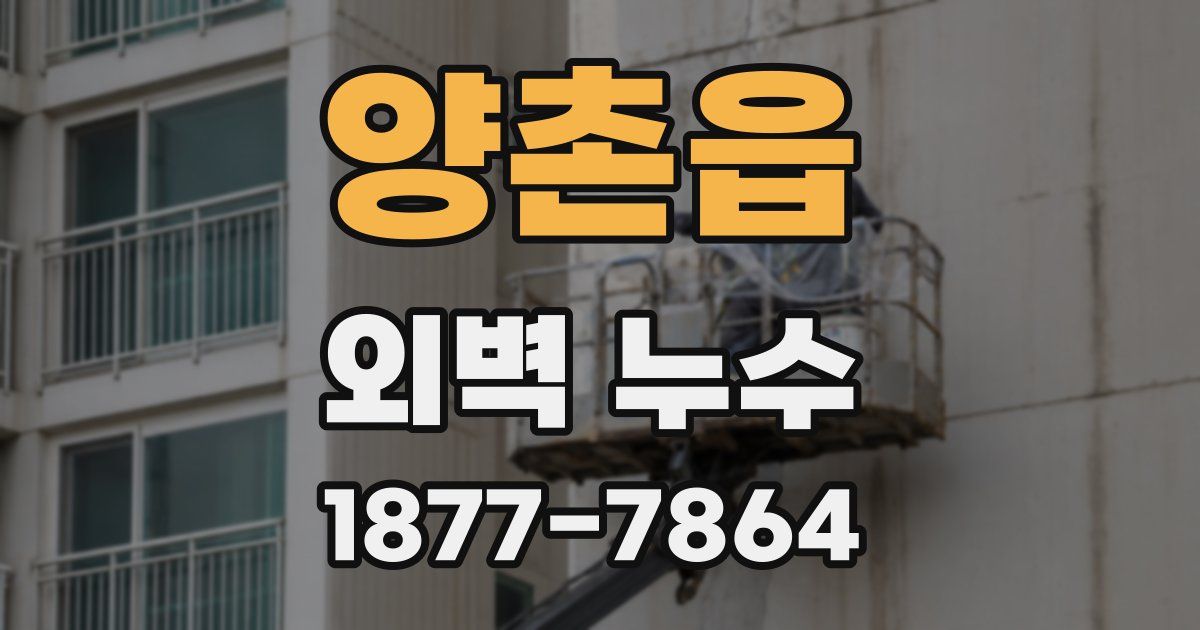 양촌읍 외벽 누수