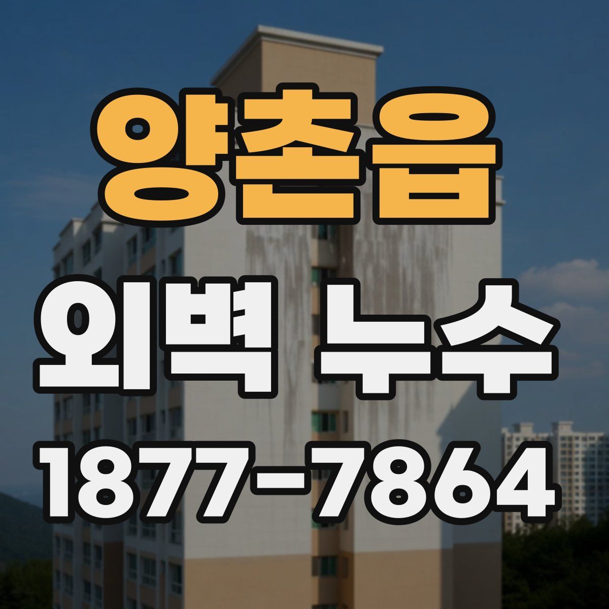 양촌읍 외벽 누수