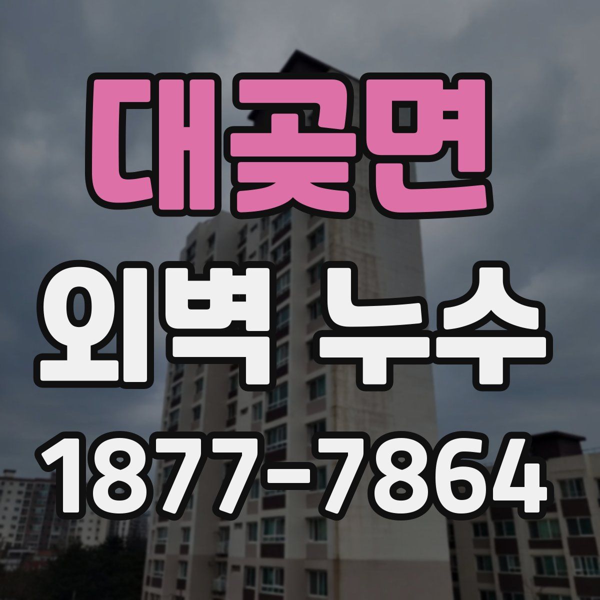 대곶면 외벽 누수
