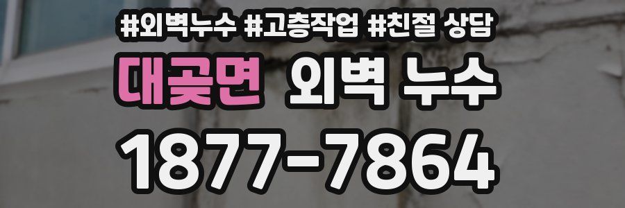 대곶면 외벽 누수
