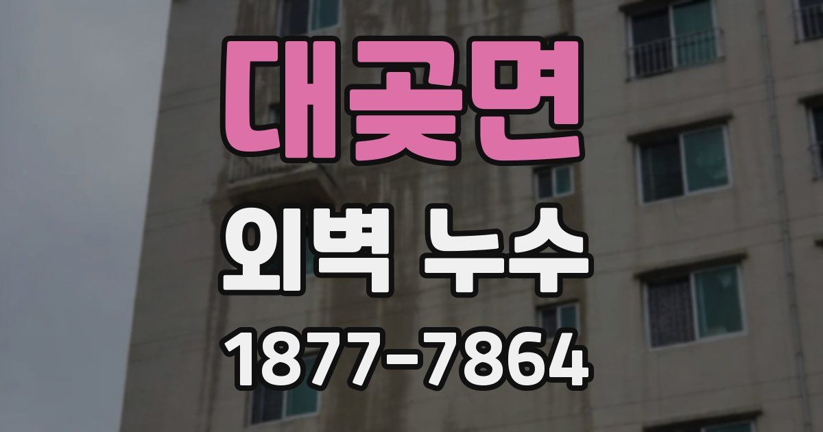 대곶면 외벽 누수