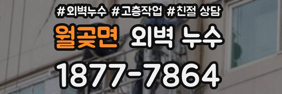 월곶면 외벽 누수