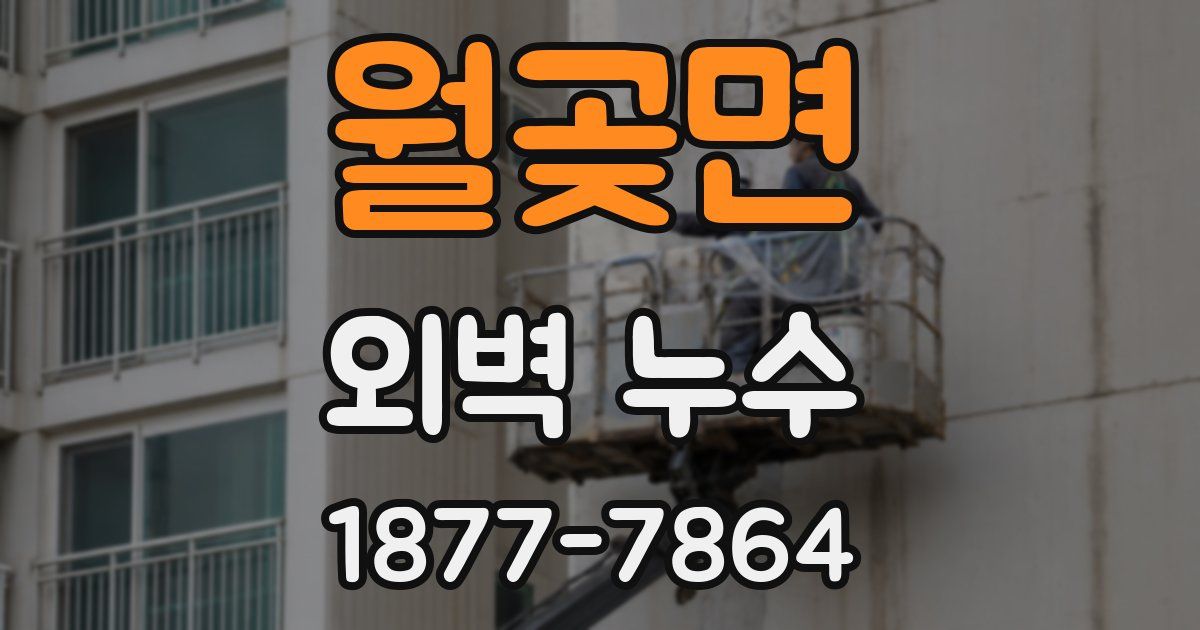 월곶면 외벽 누수