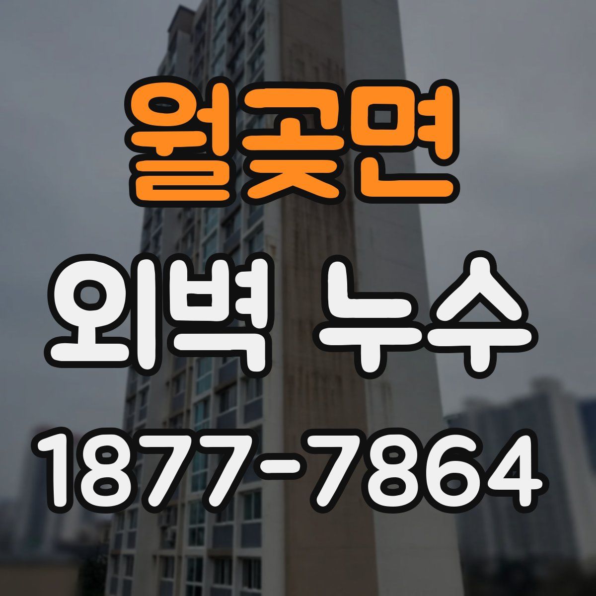 월곶면 외벽 누수