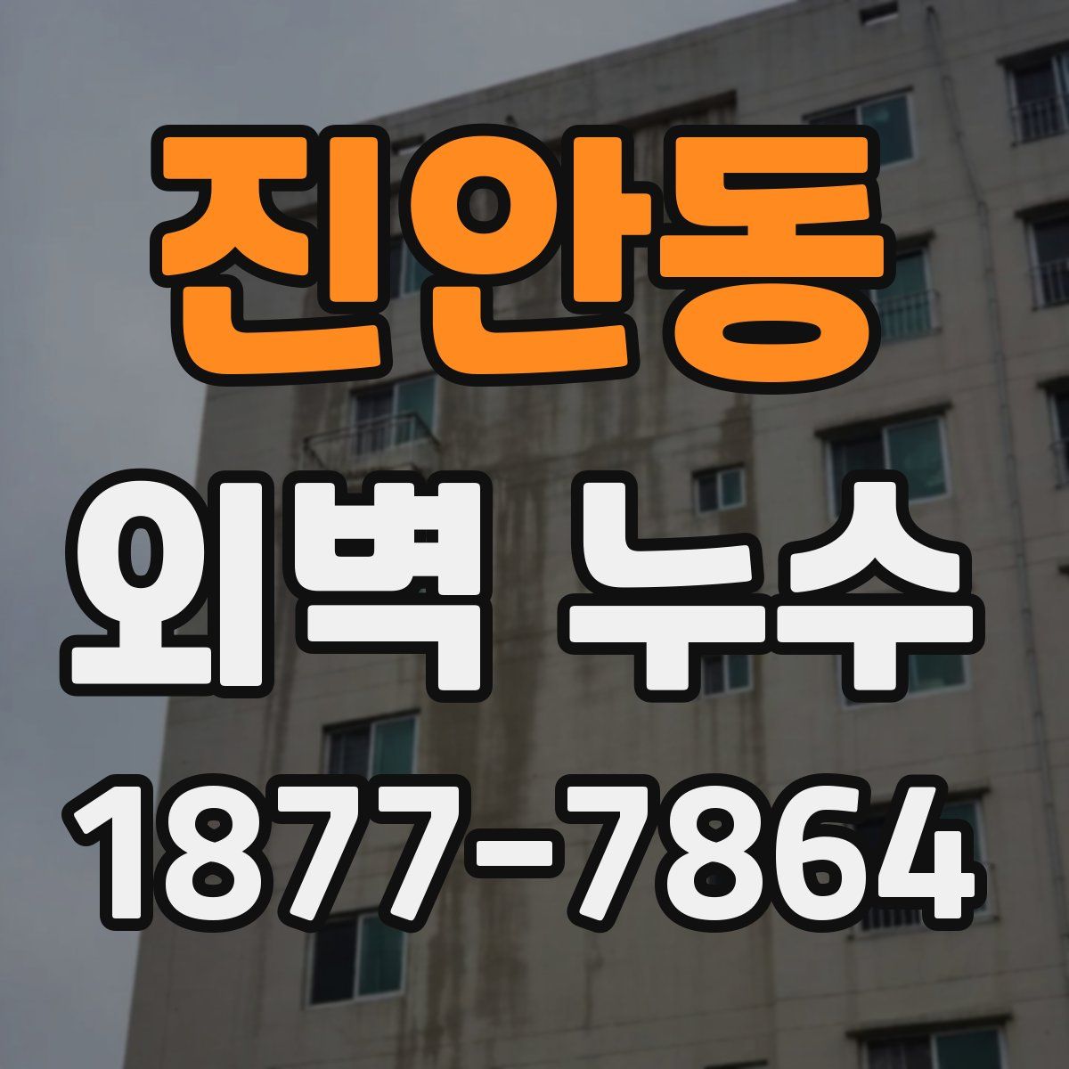 진안동 외벽 누수