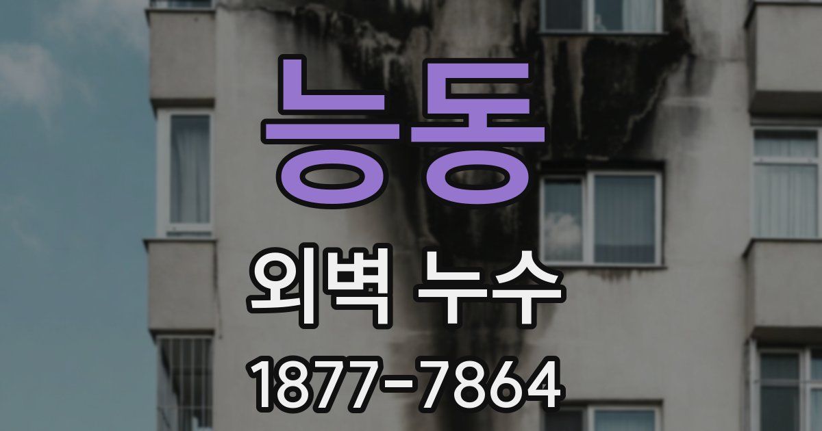능동 외벽 누수