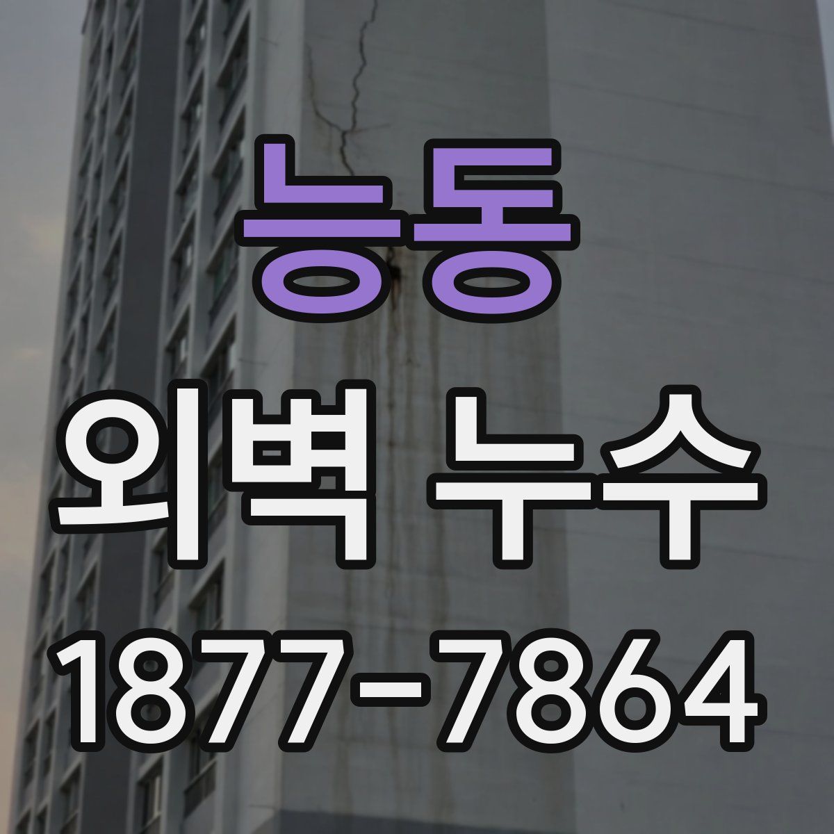 능동 외벽 누수